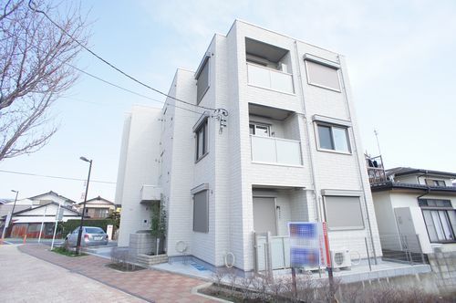 Chat・Blanc 101号-12