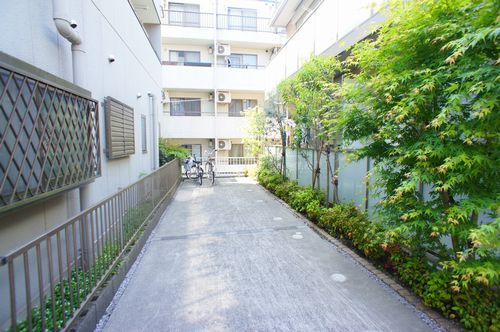 Ｌｉｎｅ　Ｓｉｌｋ 202号-15