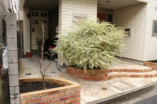 ウインドー　ローズ 103号-13