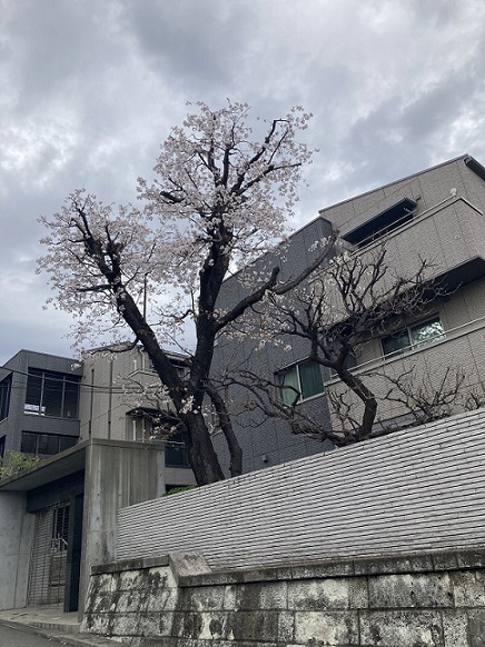 ＬＩＢＥＲＡ宮崎台　Ⅰ 201号-13