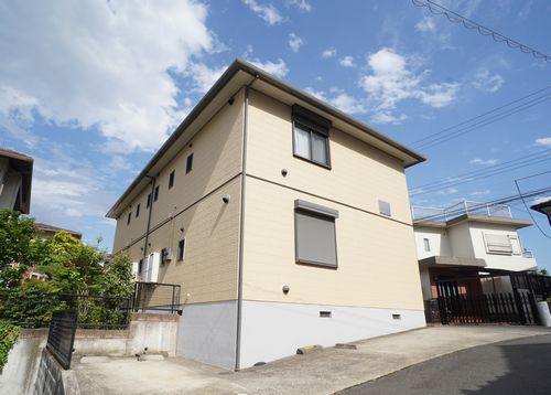 Soleado 102号-2