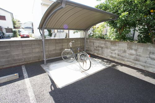 コスモス 102号-14