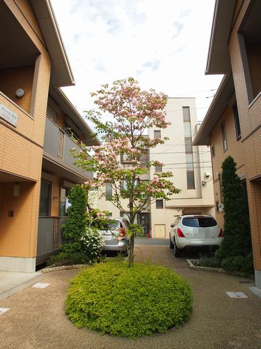 クレール鷺沼A 102号-2