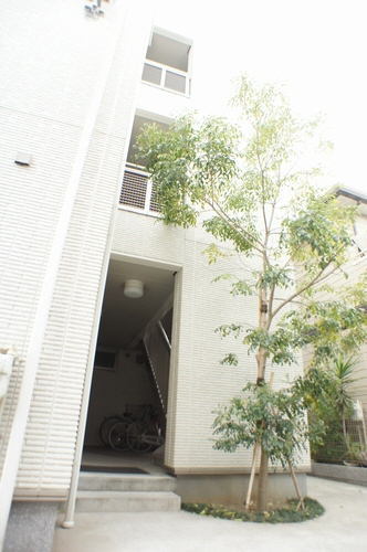 Ｄｒｅａｍ　Ｋｉｓｈｉ 302号-13