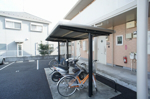 コスモス 202号-3