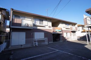 タウニー　ＯＧＩＮＯ　Ａ