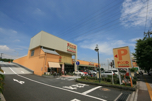 パレスパークサイド 大宮 B 102号-14