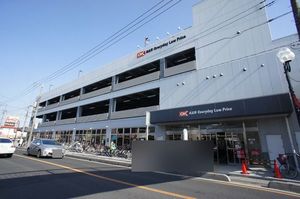 ジュネス　アルプ 105号-4