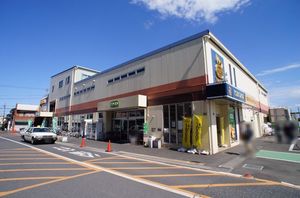 ニュー ウィスクリア B 205号-5