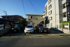 ボナール わらび 102号-12