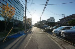 ボナール わらび 102号-13