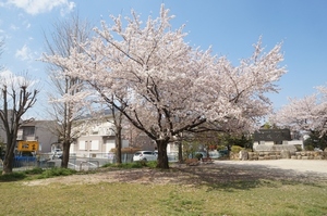 深町　ハイツ　Ｂ 201号-13