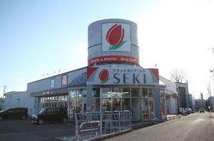 メゾン プレーリー Ⅱ 203号-14