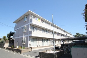 フィラ　ステイツ　Ｌ