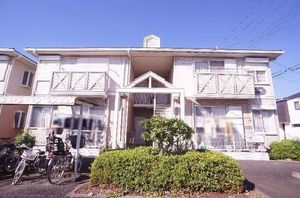 コットンバード　和泉　Ｂ 102号-12