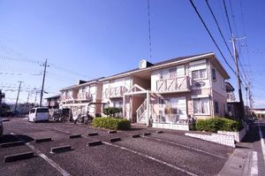 コットンバード　和泉　Ｂ 102号-13