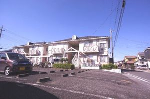 コットンバード　和泉　Ｂ 102号-14