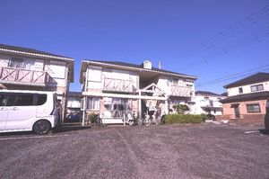 コットンバード　和泉　Ｂ 102号-15