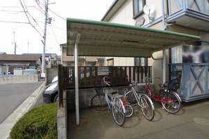 カモミール 101号-2