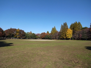 エントピア　細野　Ｄ 101号-15