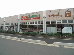 メゾン 仲道 N 202号-5