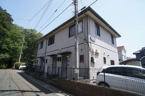 クリプトメリア 102号-13