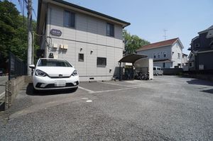 クリプトメリア 102号-15