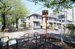 エヴァグリーン A 101号-15
