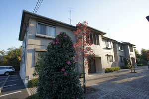 シャインステージＤ 101号-15