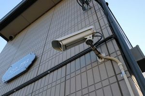 ベントグラス 203号-2