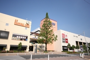 ベントグラス 203号-5