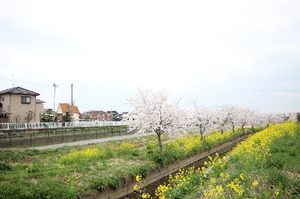 ＳｕｇａｙａＶｉｌｌａｇｅⅠ 102号-15