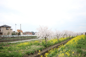 SugayaVillageⅢ 102号-15