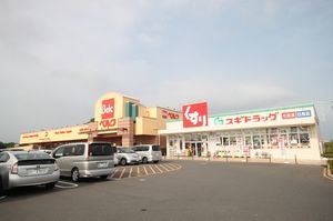 グランデールＡ 203号-13