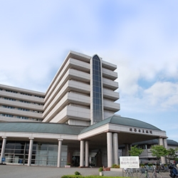 パルモオレンジ 102号-12