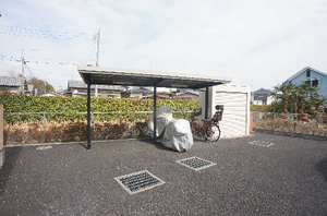 Season Ⅱ 202号-4
