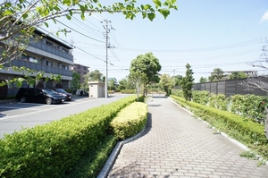 セレブONE 303号-14