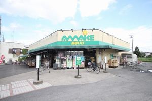 プリムローズ 202号-5