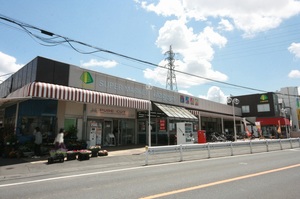 ポポラリタⅡ 208号-13