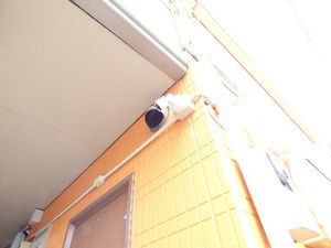 花梨棟 102号-13