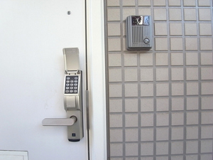 Ｆｏｒｅｓｔａ　Ｄｕｅ 202号-14