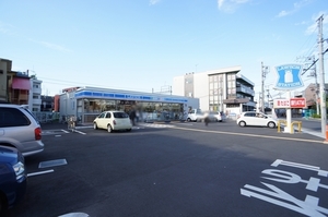 クリサンセマム参番館 102号-15