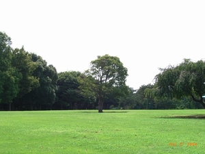 Garden Court IZUMI 101号-14