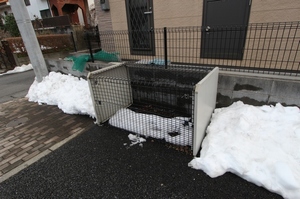 ヴェルデコリーヌ 101号-13