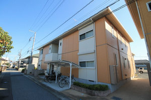 ＳｈａＭａｉｓｏｎ　Ｐｏｐｐｙ　Ⅰ 203号-2