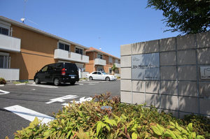 ＳｈａＭａｉｓｏｎ　Ｐｏｐｐｙ　Ⅰ 203号-3