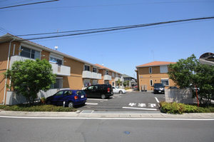 ＳｈａＭａｉｓｏｎ　Ｐｏｐｐｙ　Ⅰ 203号-5