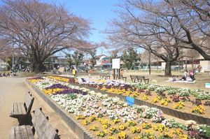 シルトクレーテ 101号-15