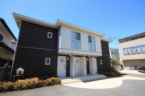 Ｒｉｃｈｅ　Ｖｅｌｔ 202号-1