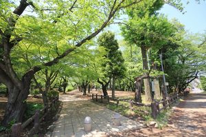 パーク　ロッサ 101号-15